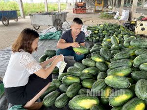 qr code loi cam ket ve chat luong nong san voi nguoi tieu 93102