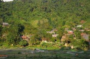 10085960 24.11 Minh hoa 22 11 24