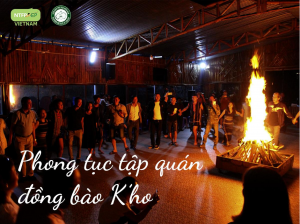 Co ho 1